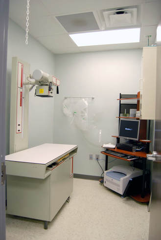 digital radiography room at all about animals veterinary clinic